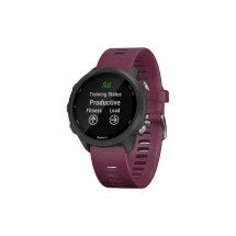 Смарт-часы Garmin Forerunner 245 Black (010-02120-11)