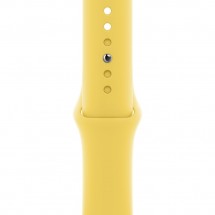 Ремешок для умных часов Apple Watch 44 мм, имбирный (MGQQ3ZM/A)