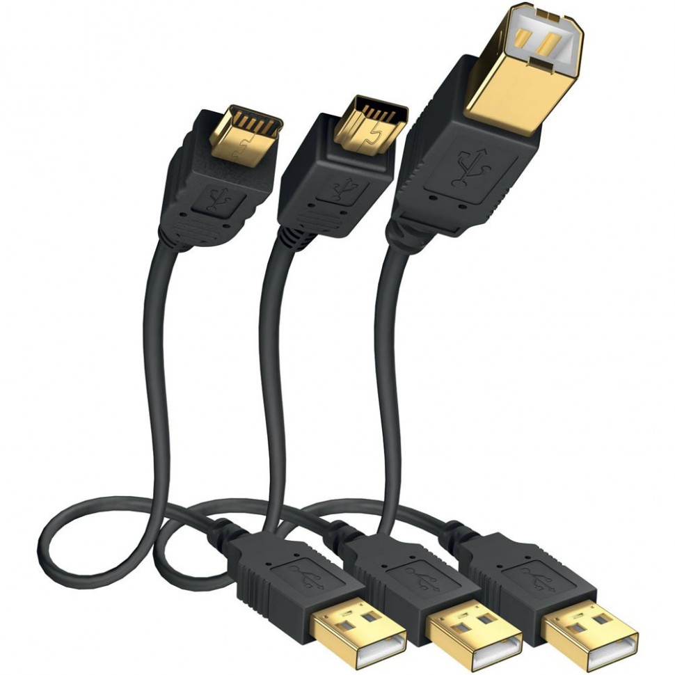 Кабель Inakustik Premium 1070022 (USB A - USB mini B, 2 м) Кабель Inakustik Premium 1070022 (USB A - USB mini B, 2 м)