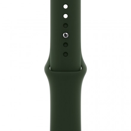 Ремешок для умных часов Apple Watch 40 мм, кипрский зеленый (MG423ZM/A)