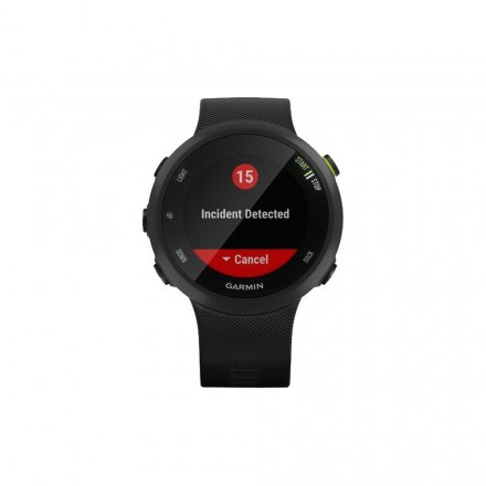 Смарт-часы Garmin Forerunner 45 Черный 010-02156-15