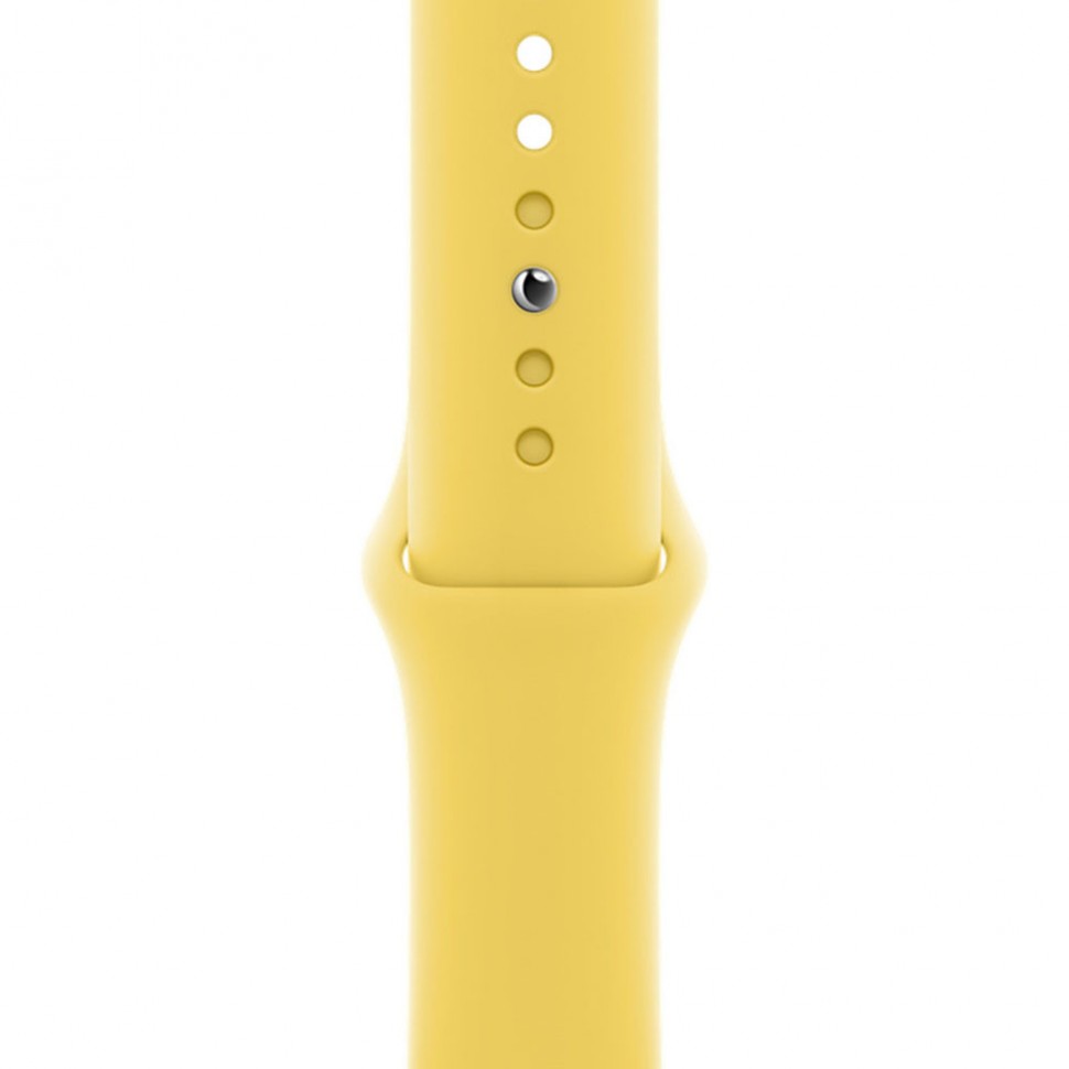 Ремешок для умных часов Apple Watch 40 мм, имбирный (MGQR3ZM/A) Ремешок для умных часов Apple Watch 40 мм, имбирный (MGQR3ZM/A)