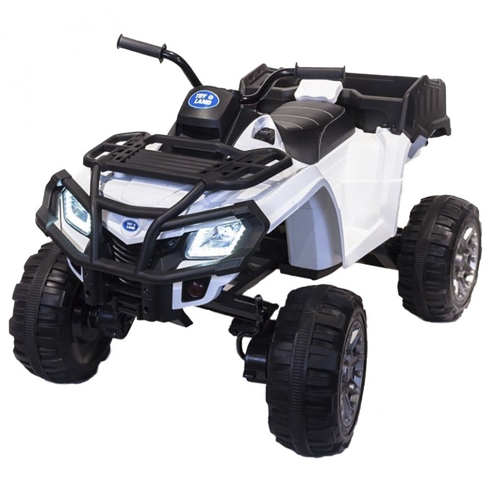 Детский квадроцикл Toyland BDM 0909 белый Детский квадроцикл Toyland BDM 0909 белый